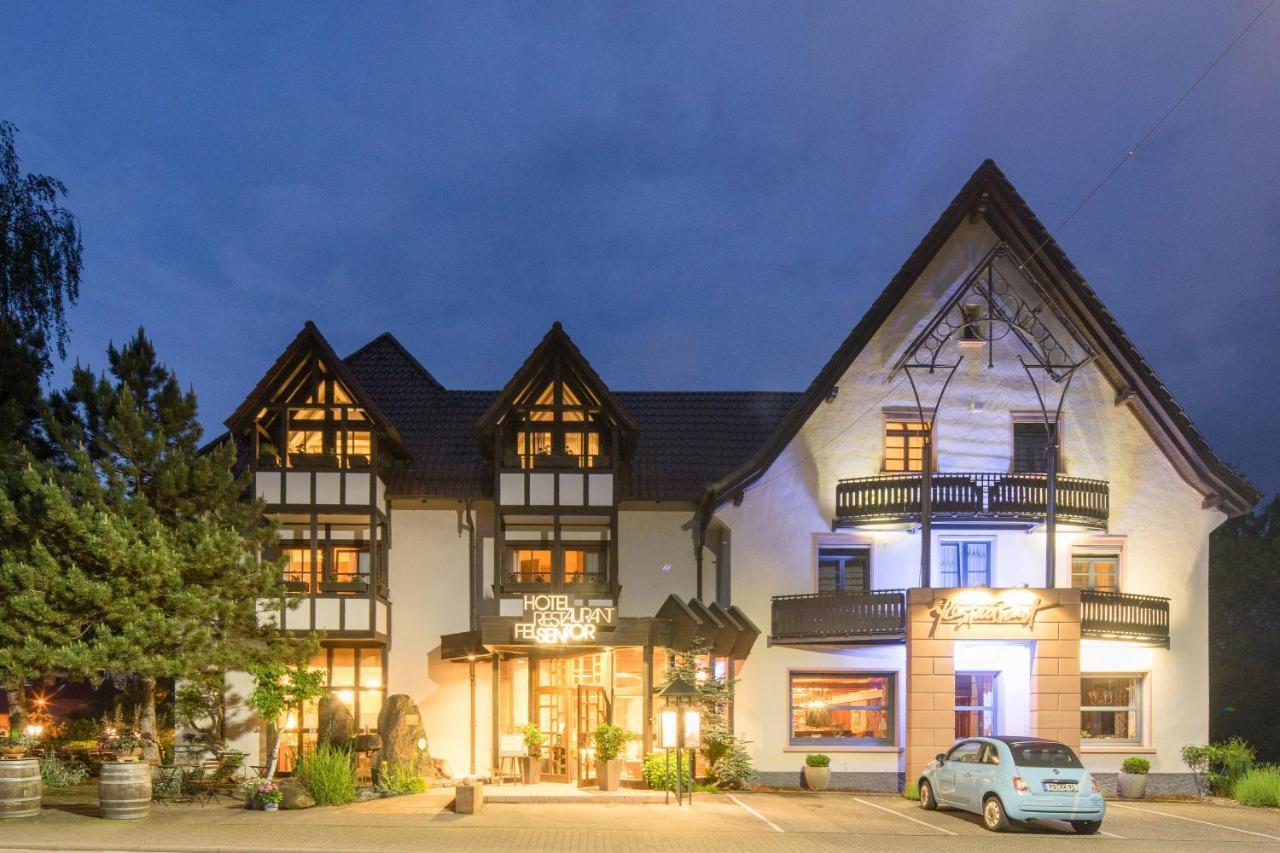 Waldhotel Felsentor Hauenstein Dış mekan fotoğraf